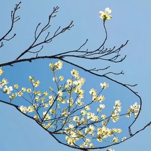 无畏无惧的心跳