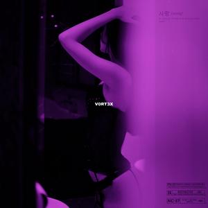 V0RT3X