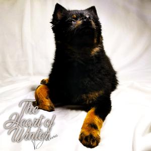 Palm Tree City (feat. Lwaistar & Zaybo)