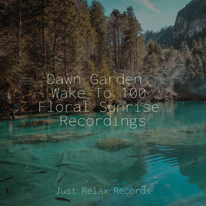 Echoes of Solitary Heights