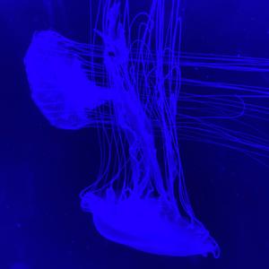 Purpurowe Niebo (Radio Edit)