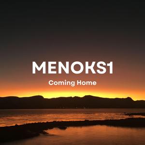 Coming Home (Back to the North)