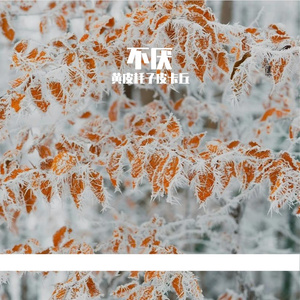 爱要有你才完美(cover那英)（黄皮耗子皮卡丘 remix）