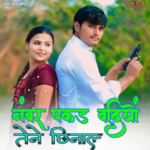 Number Pakad Vadiyo Tene Chhinal
