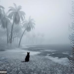 Non So Più Dove Sei