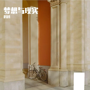 梦想与现实