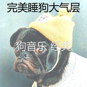 温和训练犬梦想