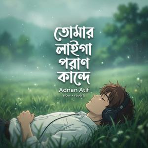 Tomar Laiga Poran Kande | Lo-fi (slow and reverb)