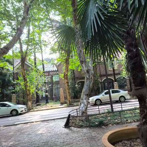 晨钟暮鼓间的祈愿