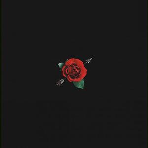 Roses 4 U