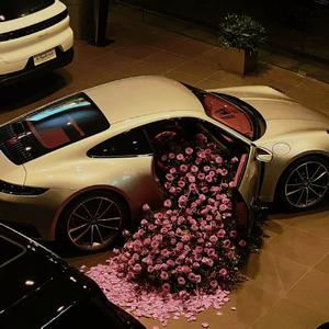 Government Hooker (抖音高潮）蛙仔