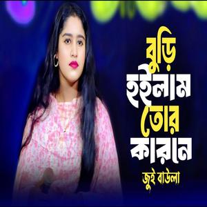 বুড়ি হইলাম তোর কারনে