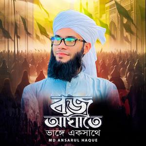 নির্ভীক ওরা কারা - জাগরণী গান