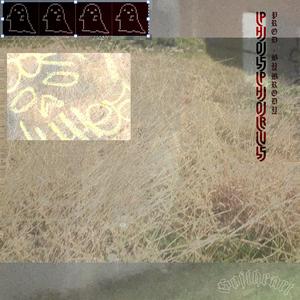 phosphorus (feat. brody)