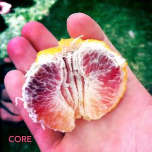 Core
