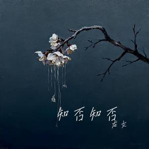 知否知否