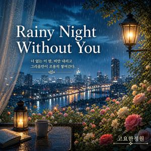 Rainy Night Without You (비오는 밤)