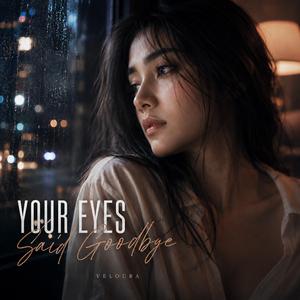 Your Eyes Said Goodbye