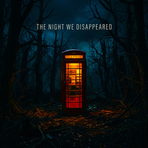 The Night We Disappeared
