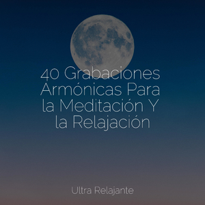 Disciplina De Entrenamiento