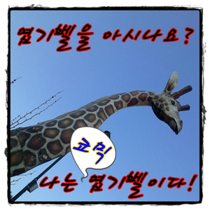 경상도엄마 모닝콜