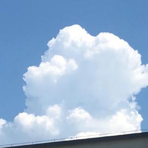 高强度发病《弃》