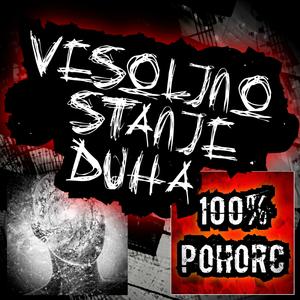 Vesoljno Stanje Duha