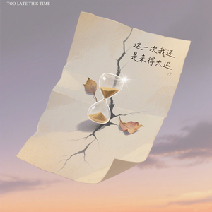 这一次我还是来得太迟