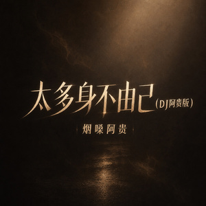 太多身不由己(DJ阿贵版)