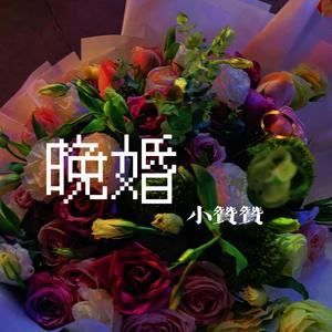 晚婚 伴奏