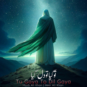 Tu Gaya Dil Gaya