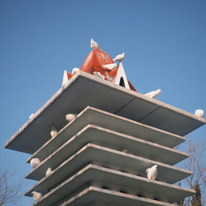 麦穗