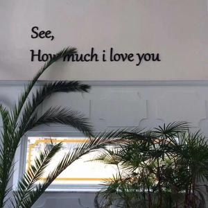 夜车（治愈女声）