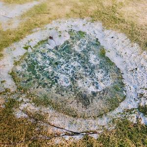 The Greatest Ever (feat. Gritfall)