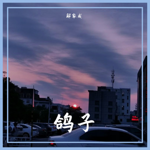 鸽子