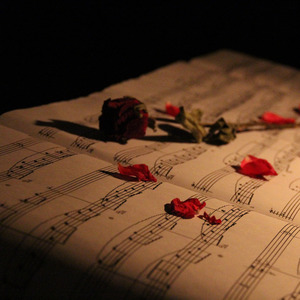 小豹妹妹-never forget you_Master（小豹妹妹 remix）