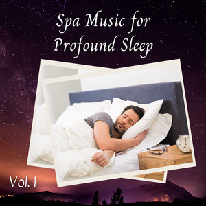 Vipassana Focus Meditation