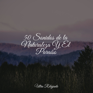 Horizontes Infinitos