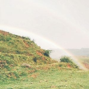 霞光（Cover 曲锦楠）