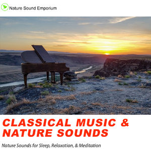 Classical Music And Nature Sounds - Liszt & Chopin Piano Concertos For Sleep & Relaxation- Part