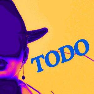 Todo