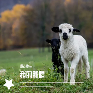 难忘的一天