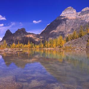 你的谎言让我无法适应