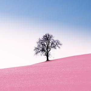 Mei-Reason（CP.T1 remix）