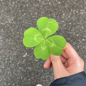 video.track-0_176.4khz_32bit 2.wav