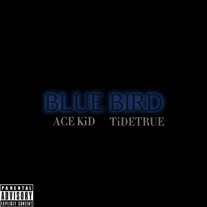 BLUE BIRD (feat. TiDETRUE)