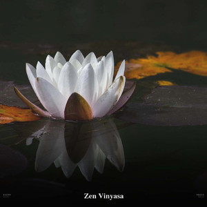 Sound Bath Meditation