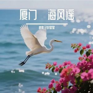 厦门·海风谣