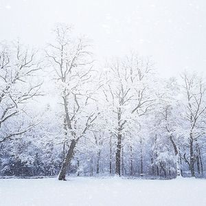 享受这一刻的宁静