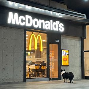 Louie/Soros(THESE ARE MY FRIENDS)